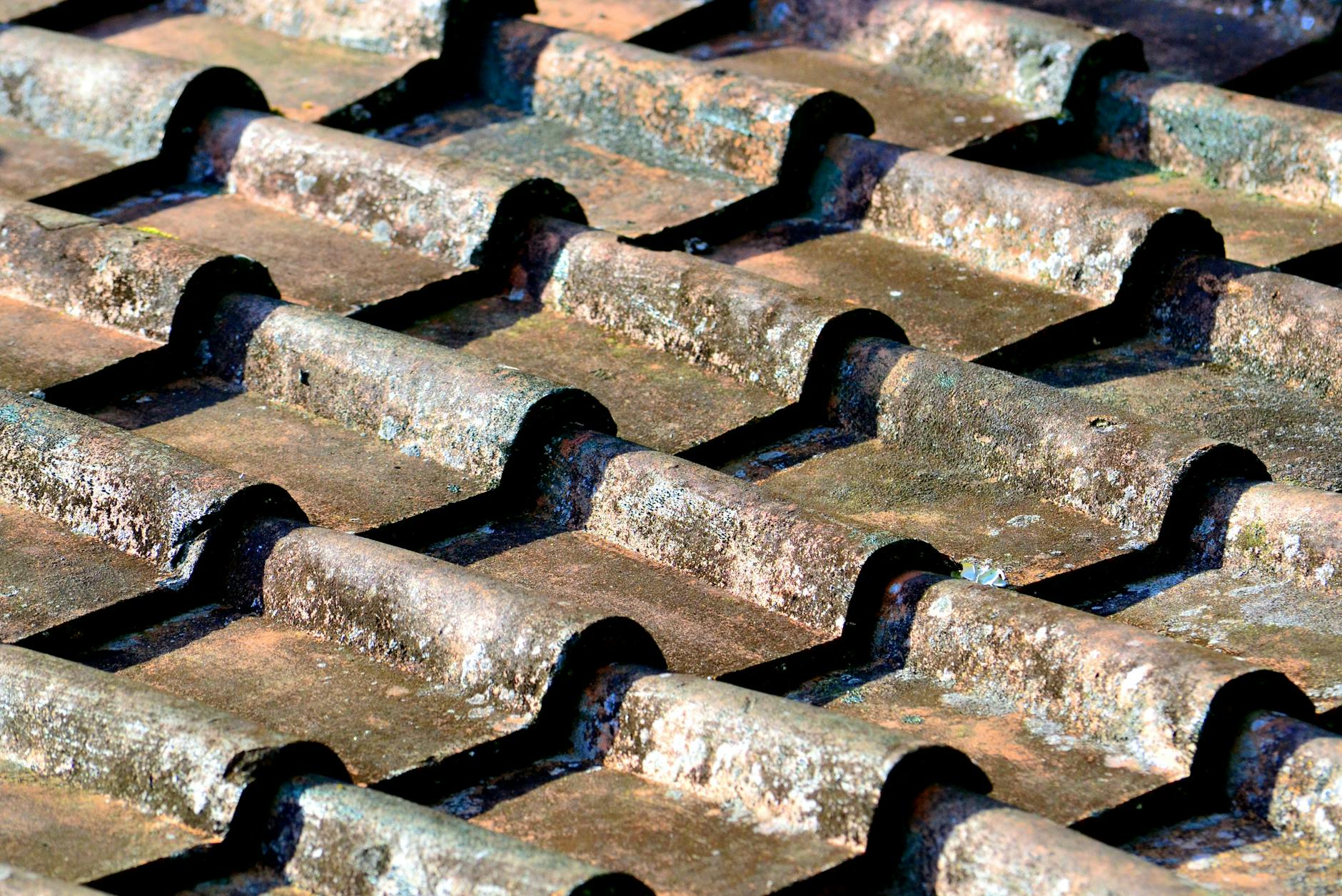 amianto en tejado que hacer